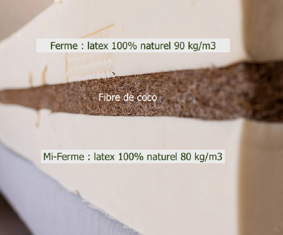 Comparaison entre le latex naturel et la fibre de coco, montrant les textures et caractéristiques des deux matériaux.