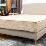 Révolution Sommeil : Matelas Écologiques, l’Avenir du Repos Économe et Durable