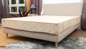 Lire la suite à propos de l’article Révolution Sommeil : Matelas Écologiques, l’Avenir du Repos Économe et Durable