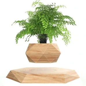 Jardinière design en bois pour home office – touche nature apaisante